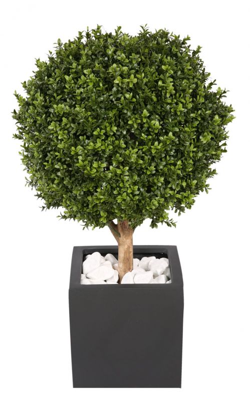 Kyoto Boxwood (Buchsbaum) Kunstpflanze Tanaman   